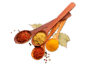 Cucharas Especias